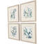 Underwater Botany Set by Barnes Propac Images