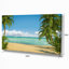 Palms at Caribbean Beach - impression d'art graphique-1088741606-1074222786