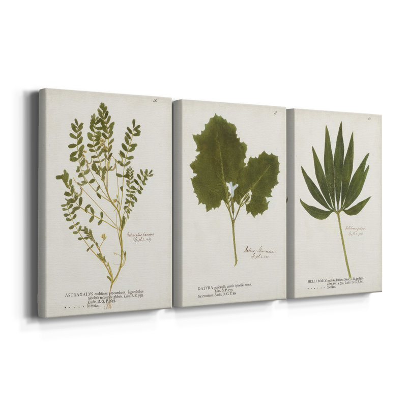 Nature imprimé fougères X - toile tendue sur mesure - 3 pièces, H 36 po x l 72 po