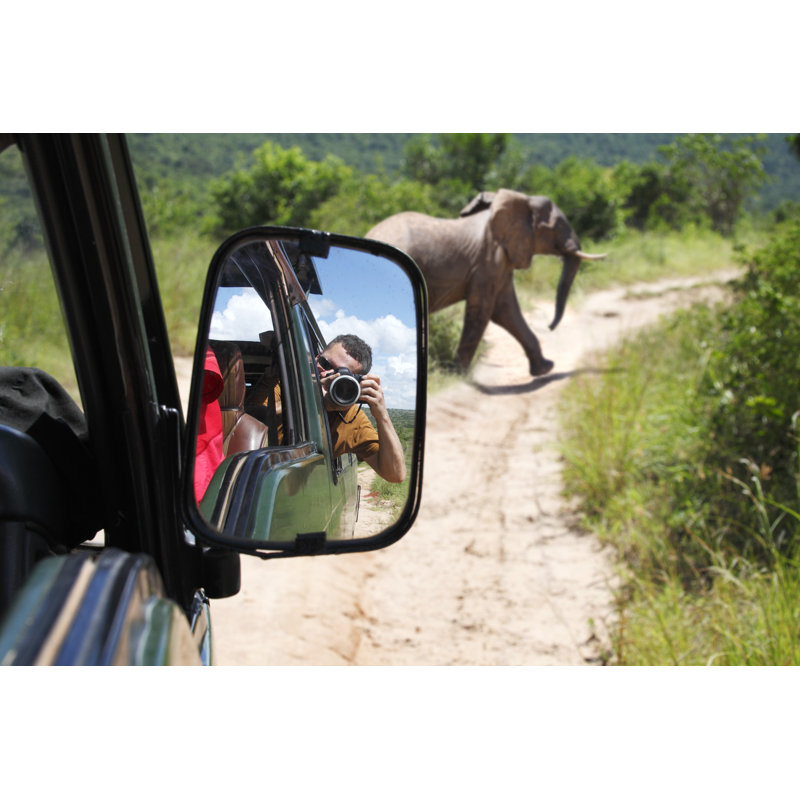 Elephant On The Road by Narvikk - No Frame Art Prints on Canvas, 81cm H x 122cm W