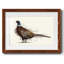 Pheasant Splash 1-1796011503-1796011502
