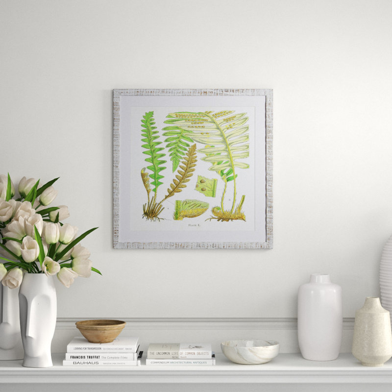 Brilliant Fern III Print