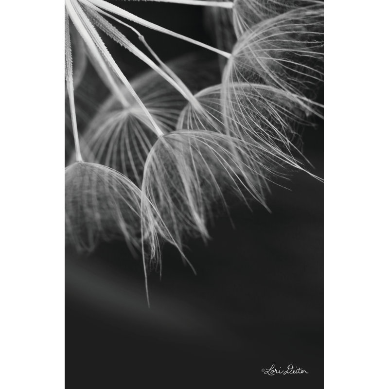 Chèvre barbe I - photographie, Non, H 18 po x l 12 po, Toile avec cadre flottant noir