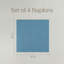over&back 100% Linen Napkins-101293255