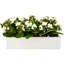 Kalanchoe Arrangement in Fiberstone Planter-1624349388-1646607056