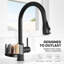 Belfry Kitchen Kitchen Faucet-1732006412