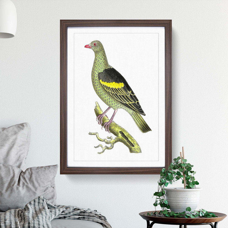 Olive-Green Pigeon by George Shaw - Picture Frame Painting Print, Walnut Framed, 36cm H x 27cm W x 2cm D