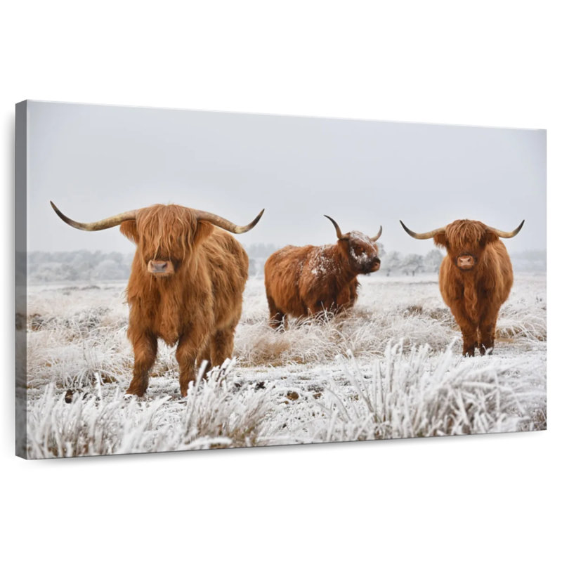Brampt Three Highland Cows, 24" H x 36" W