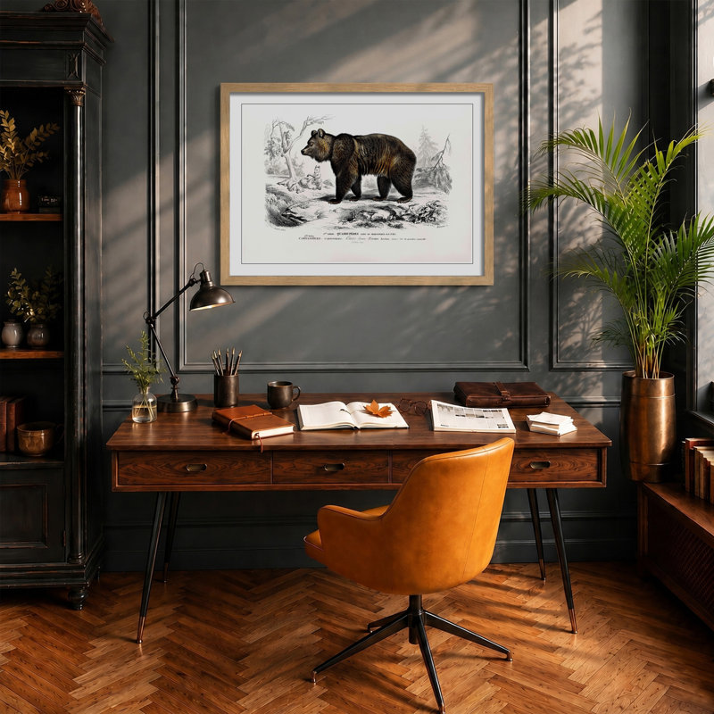 Brown Bear - Framed Print, Walnut, 45cm H x 63cm W x 2cm D