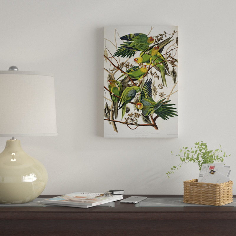 «Carolina Parrot & Cuckle Burr», impression sur toile, H 40 po x l 26 po x P 1,5 po, Toile tendue, Pas de tapis