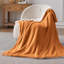 Couverture polaire sherpa douce et moelleuse BedBedsure GentleSoft pour lit simple, épaisse et confortable pour l'hiver et l'automne, idéale pour le canapé et le lit.-105504624-105504650