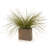 24'' Faux Onion Grass Grass in Earthenware Planter