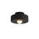 Blayke Minimalist Resin Flush Mount Close to Ceiling Lighting Fixture