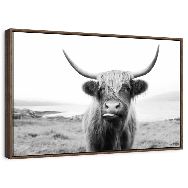 Drôle de vache Highland, Cadre flottant noyer, 31 po x 21 po