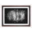 Montana Forest - Picture Frame Painting Print-56735574-56735577