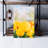 Value Does Not Apply - Wrapped Canvas Graphic Art-999996448