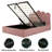 Chelsa Upholstered Hydraulic Storage Platform Bed with Velvet Palm Headboard-2002991234-2002991245