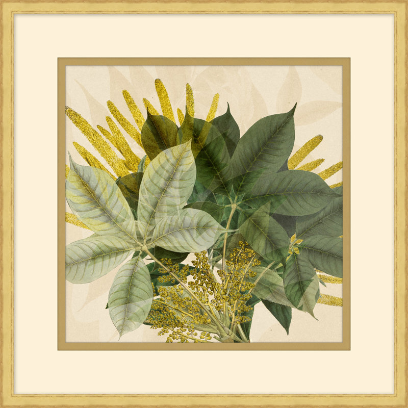 Golden Briar 5 Print