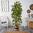 75'' Faux Bamboo Tree in Burlap, Cotton Planter