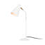 Metal Desk Lamp-1845761972