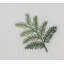 Fern Cocktail Napkins