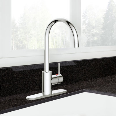 Wade Logan® Arlandis Kitchen Faucet
