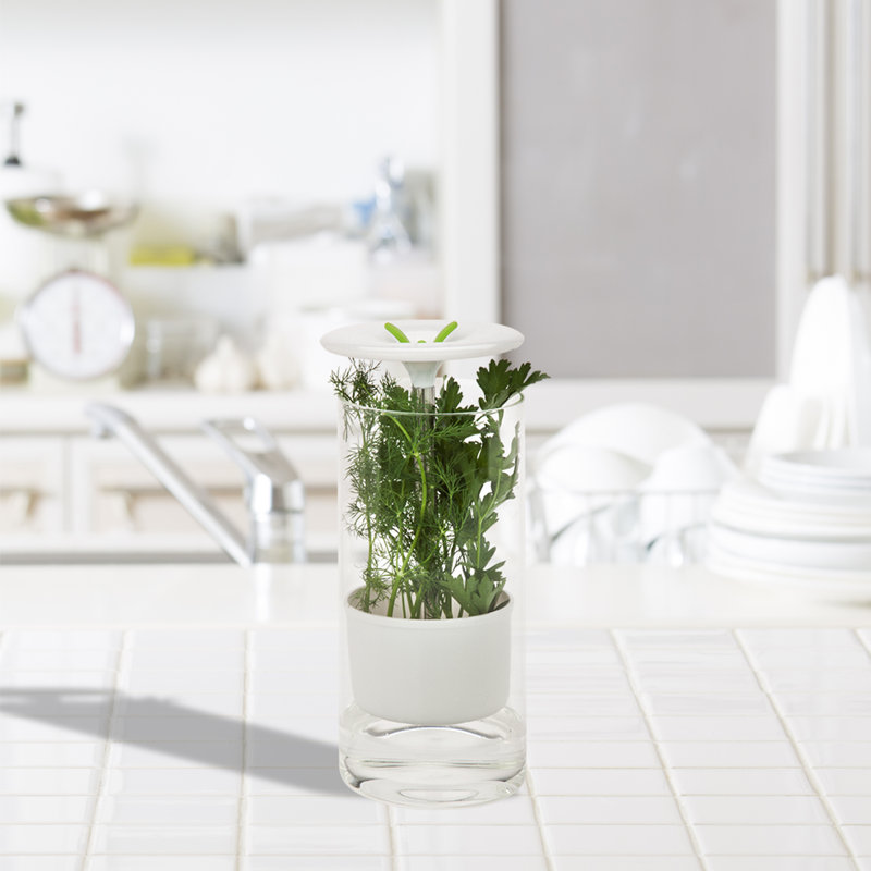Glass Jar