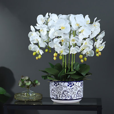 Orchids Arrangement