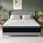 Alwyn Home Timera  Medium Hybrid Mattress-7704319-62865663