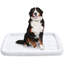 Faux Sherpa Padded Bolster Pet Bed-2127611392