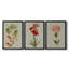 Botanical Array VI  -Custom Framed  Wrapped Gallery Canvas - 3 Pieces-916200992-916200998