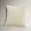Roseline Velvet Throw Pillow-91713626-40584312