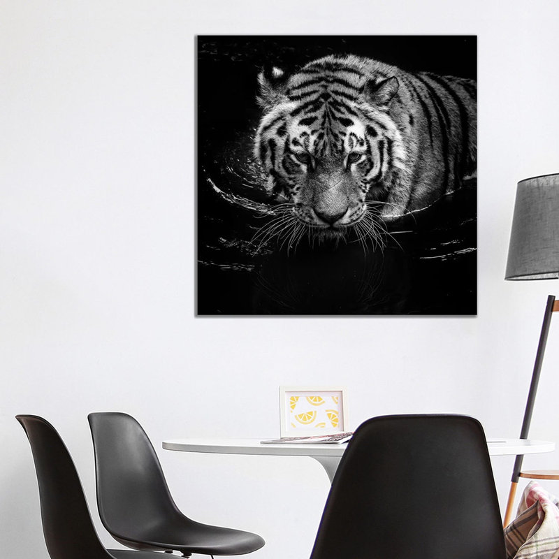 Tiger In Water, Black And White by Lukas Holas - Wrapped Canvas Print, 93.98 cm H x 93.98 cm W