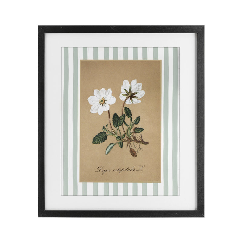 Reproduction sous verre encadrée de fleurs blanches et de rayures vertes, par lettrage et doublure, Cadre noir minuit