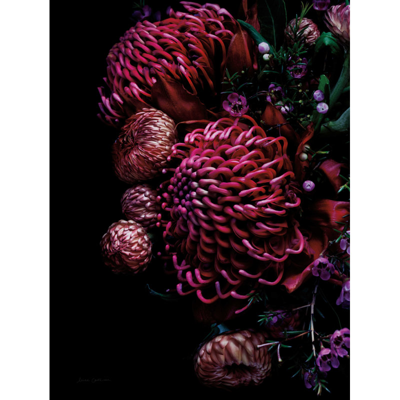 " Waratah Bouquet " by Elise Catterall, 16" H x 12" W