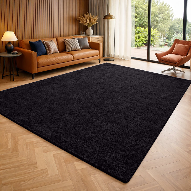 Luxury Pashmina Area Rug – Soft Traditional Living Room & Bedroom Carpet – Elegant Home Floor Rug, Black, 160x230