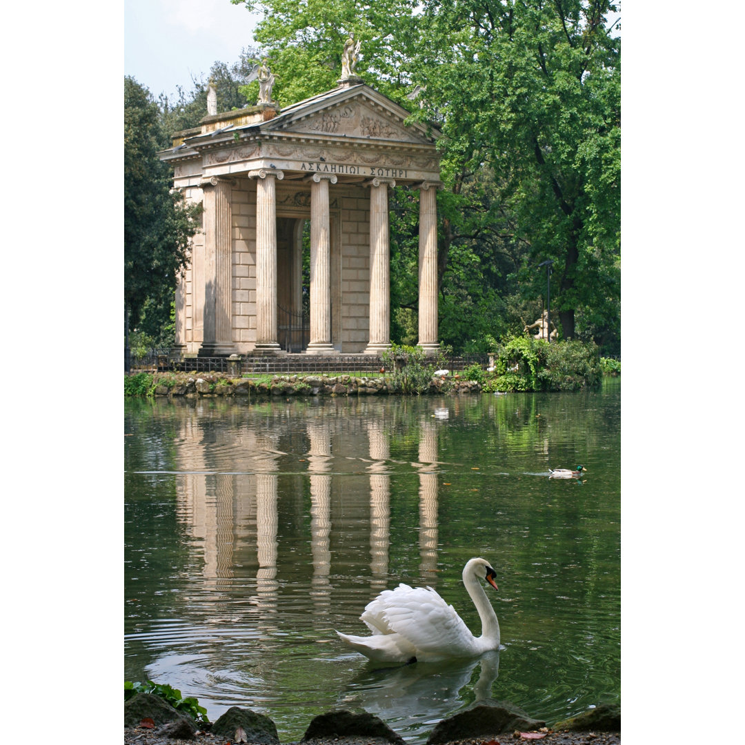 Äskulap-Tempel von ROMAOSLO - Leinwandbild