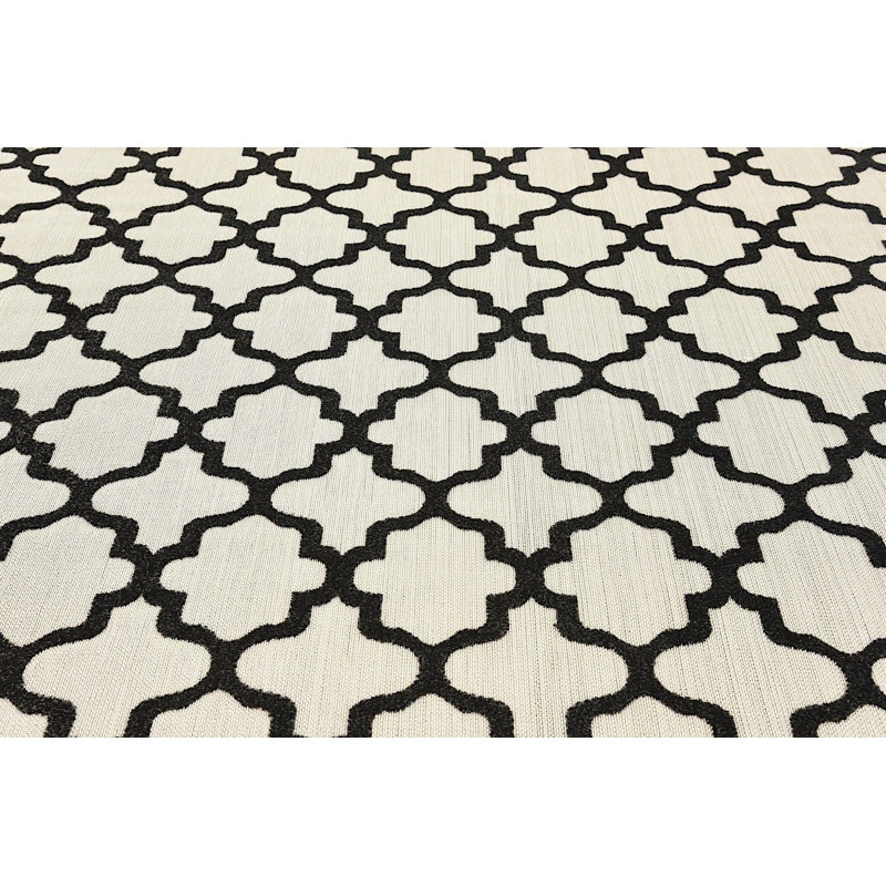 Tapis intérieur / extérieur noir / gris clair Dicus, Rectangle 4 pi x 6 pi
