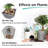 Costantin Natural Stone Garden Stone