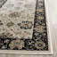 Petronella Viscose Oriental Rug in Ivory/Black-19261716
