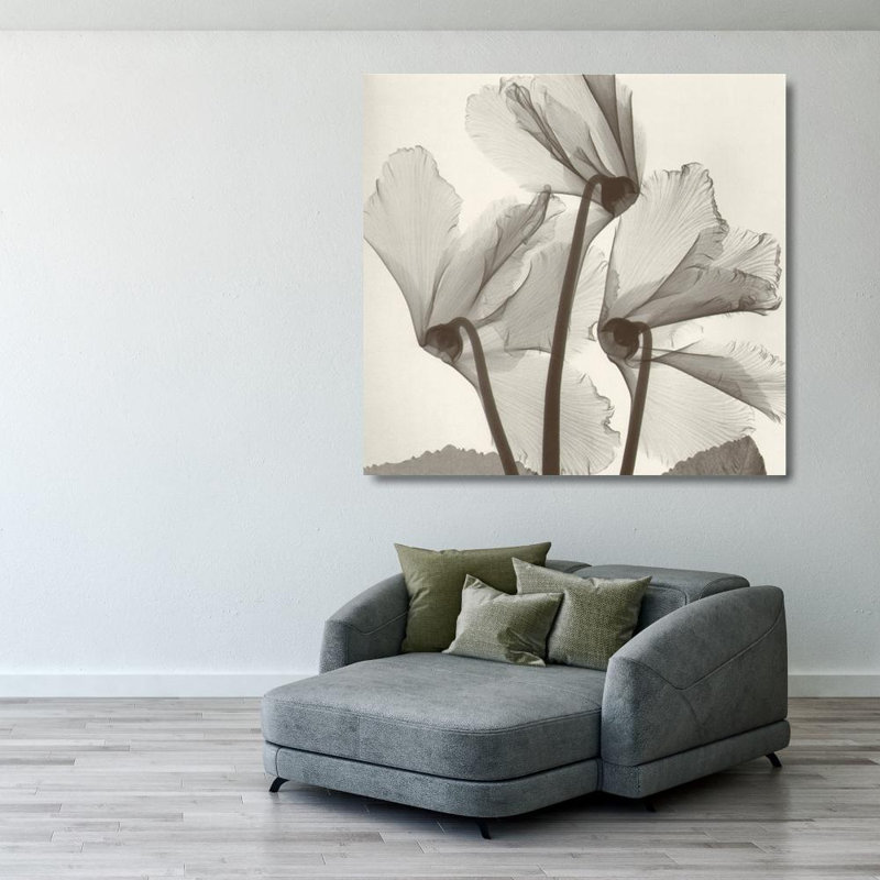 Étude des cyclamens # 1, H 28 po x l 29 po