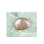 Fiona Handmade Decorative Box