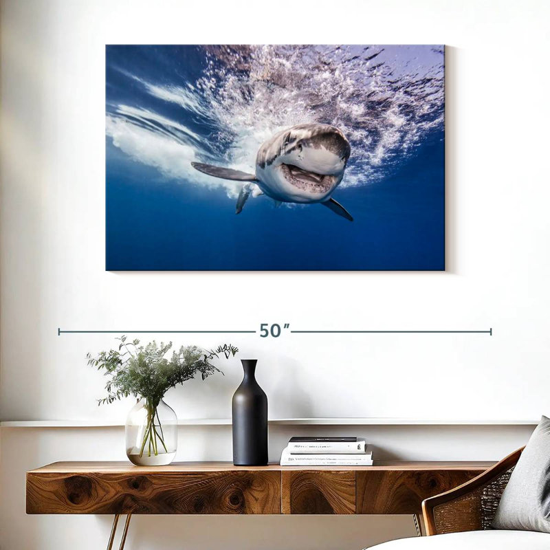 Brampt Happy Shark, 26'' H x 39'' W