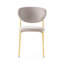Cozy Upholstered Chair with Metal Frame-790521248-790521241