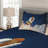 Modern & Contemporary Coverlet