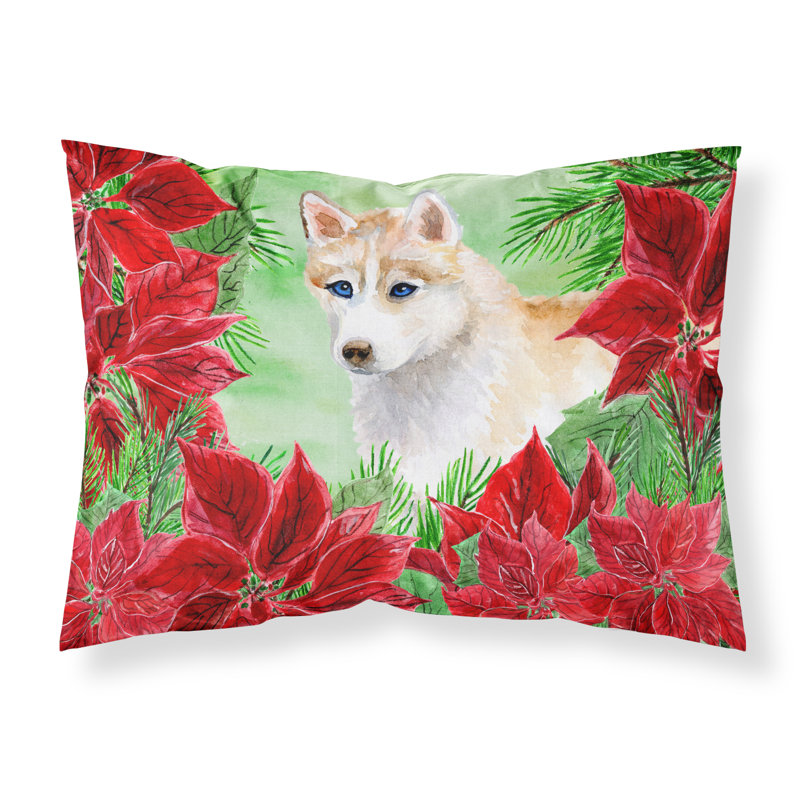 Microfiber, Siberian Husky