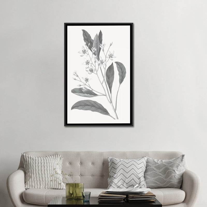 « neutral botanique v », reproduction sur toile tendue, H 26 po x l 18 po x P 1,5 po, Toile avec cadre noir, Pas de tapis