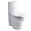 Saile Skirted One-Piece Elongated Dual-Flush Toilet with Top Actuator and Saile Quiet-Close Toilet Seat with Quick-Release Functionality-2097801346