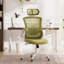 Chaise de bureau ergonomique en filet avec accoudoirs relevables Inbox Zero-2134407891