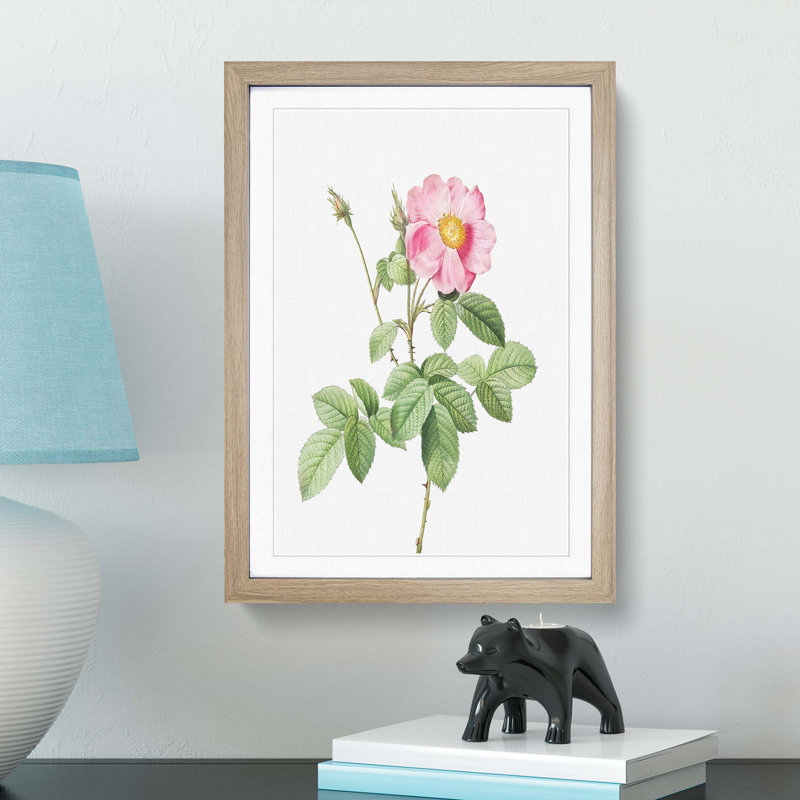 Pink Cabbage Roses by Pierre-Joseph Redoute - Picture Frame Painting Print, 36cm H x 27cm W x 2cm D, Oak Framed
